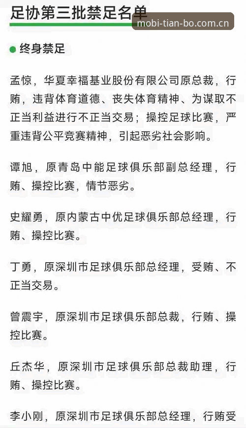 足协第三批禁足名单深度解读：从行业乱象看足球生态重建